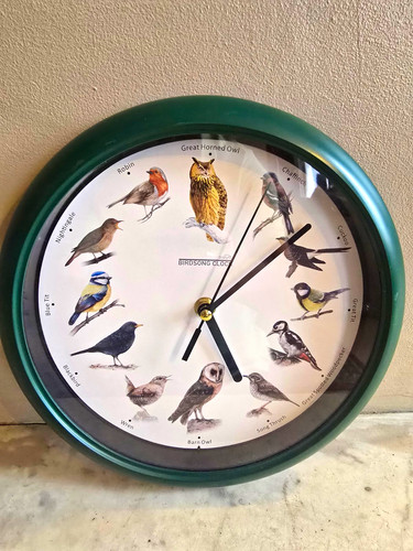 Starlyf birdsong clock green - starlyf,
