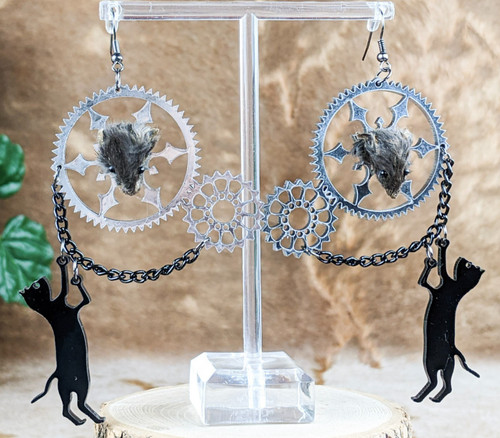 Mouse head mounts cat - head,