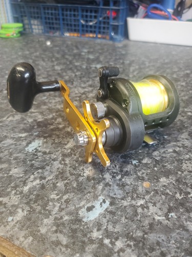 Daiwa saltist 20h reel - daiwa,