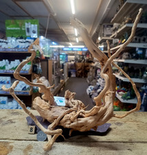 Red Moor Wood Root on Slate