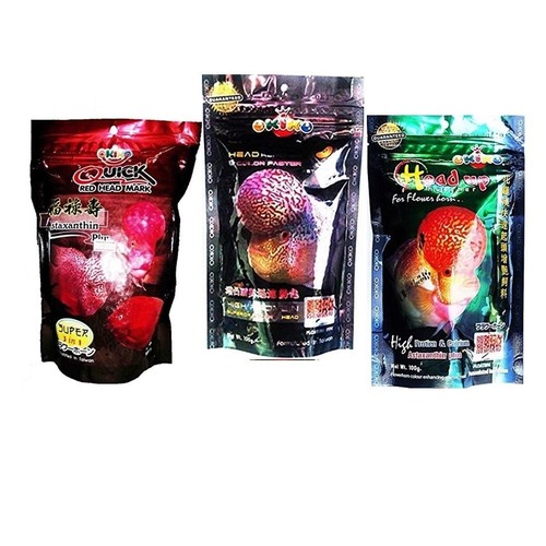 Okiko cichlid flowerhorn fish - okiko,