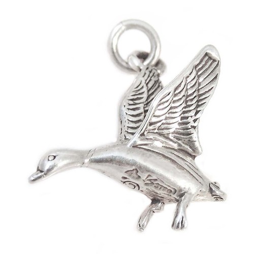 Flying duck bird goose - 3d, 925