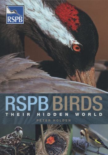 Rspb birds their hidden - rspb,