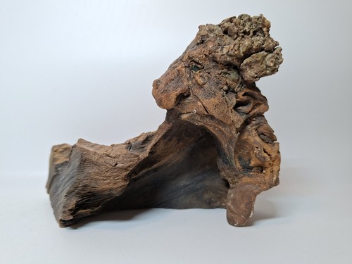 Natural driftwood sculpture - natural,