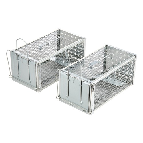 Rat trap squirrel - rat,