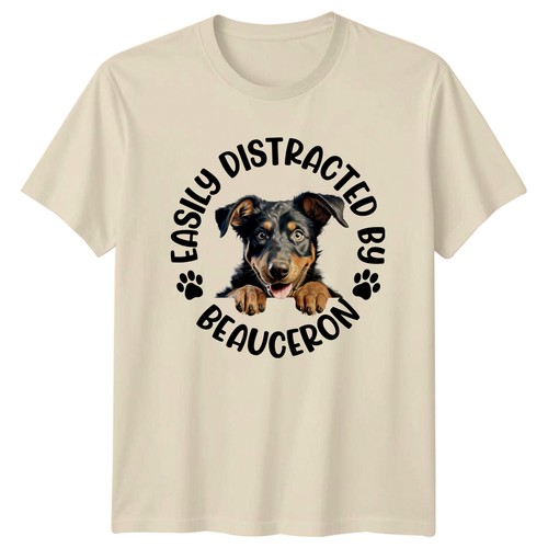 Easily distracted beauceron - distracted, by