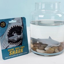 Grow Your Own Shark Children's