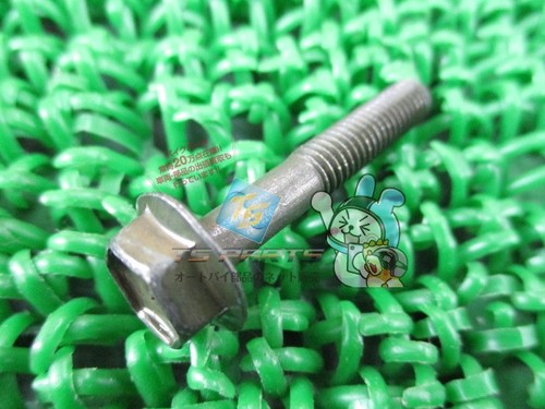 Inazuma 1200 crankcase - , bolt
