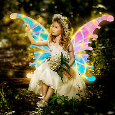Electric Fairy Wings Light Up