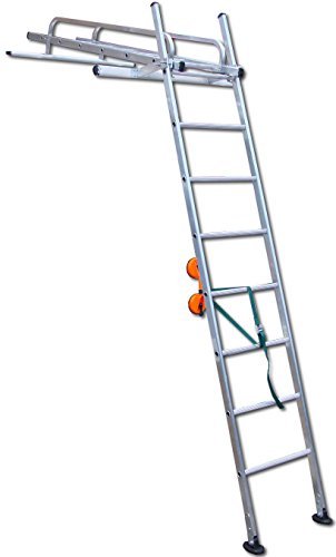 Conservatory access ladder - conservatory,