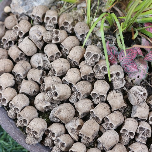 20pcs mini skull figurines - mini,