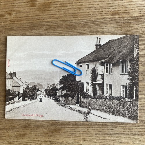 Charmouth village dorset - charmouth, village,