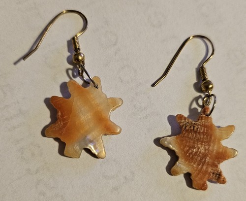 Abalone shell earrings - abalone,