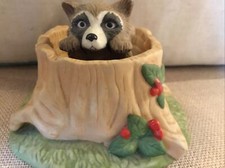 Woodland Surprises Raccoon