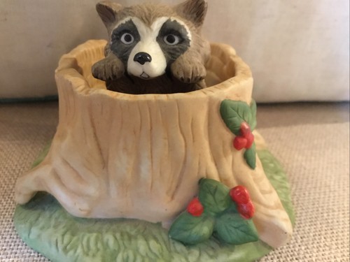 Woodland surprises raccoon - woodland,