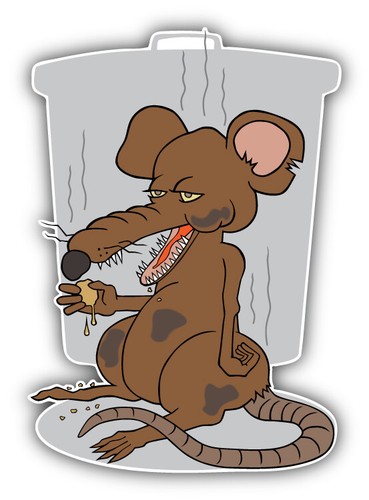Dirty rat car bumper - dirty, sticker