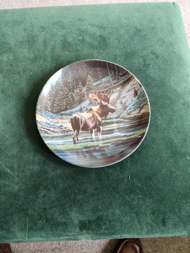 Bradford exchange decorative