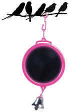 Small Caged Bird Mirror and