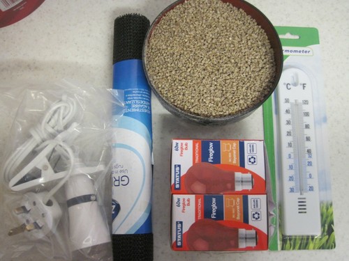 Baby chick brooder starter - chick,