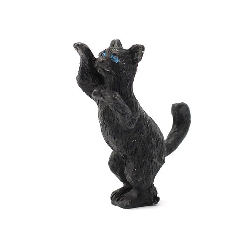 Dolls house cat - house, standing