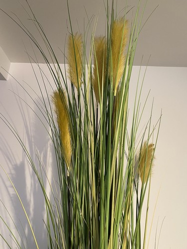 Artificial fox tail grass - xl,