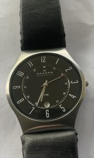 Skagen 233XLTTM Titanium