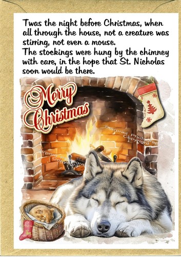 Alaskan malamute dog christmas - alaskan,