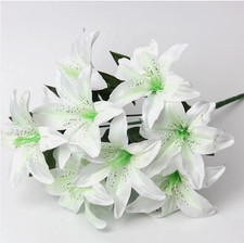10Heads Artificial Stargazer