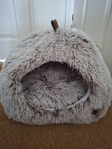 Catism cat dog igloo - dog, bed