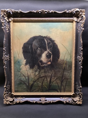 Antique portrait dog in - a,