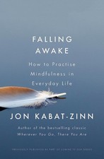 Falling Awake - Jon Kabat-Zinn