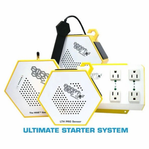 Beehive the hive ultimate - beehive,