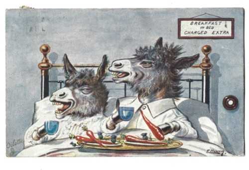 Printed postcard from the