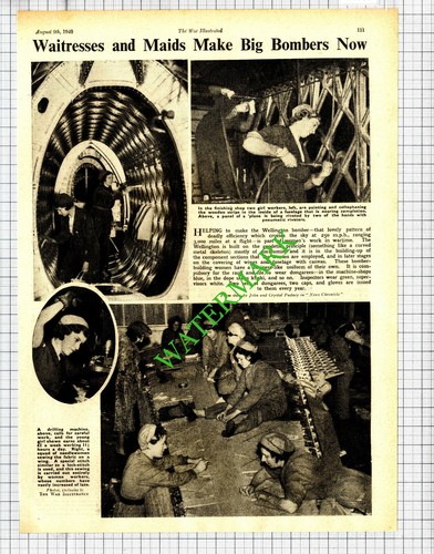 Wellington bomber plane - bomber,