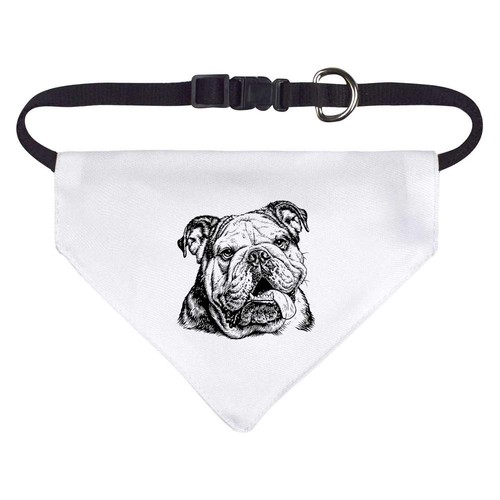 English bulldog portrait dog - bulldog,