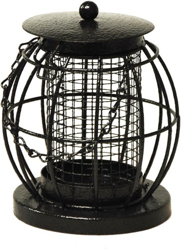 Kingfisher mini lantern nut - kingfisher,