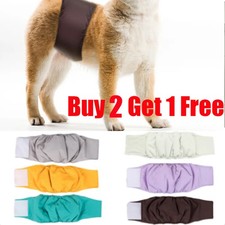 Male dog puppy pet - male, nappies