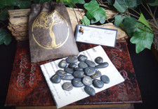 25 RUNE STONES & BAG Tree of