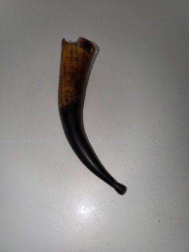 Antique powder horn - antique,