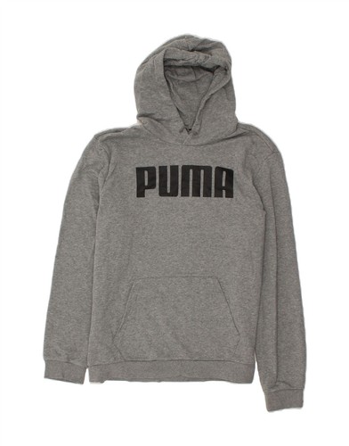 Puma mens graphic hoodie - graphic,