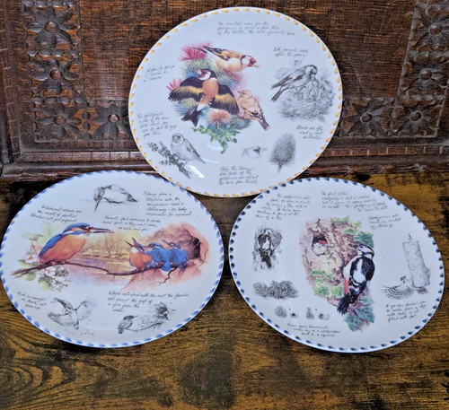 Danbury mint woodpecker - danbury,