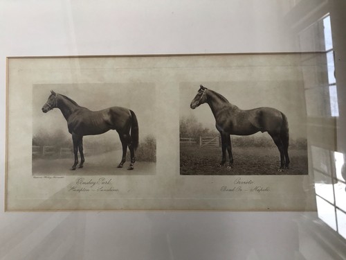 Rare victorian clarence - rare, hailey