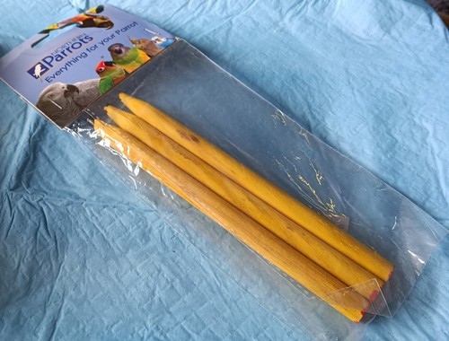 Northern parrots parrot pencil - northern,