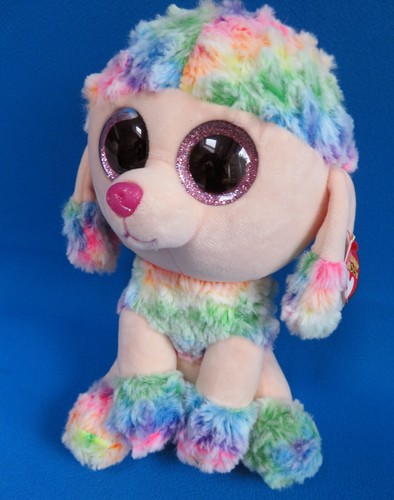 Medium poodle puppy dog - poodle,