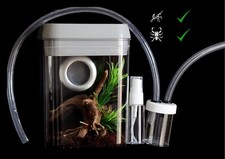 Praying Mantis, Jumping Spider Starter Set : Inc Pooter Decor Pack & Sprayer