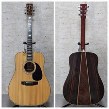 TF Morris Acoustic Guitar W-80