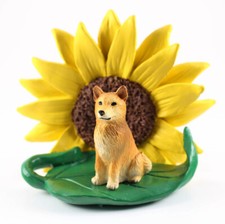 Finnish Spitz Sunflower