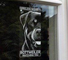 Rottweiler Wireless Security