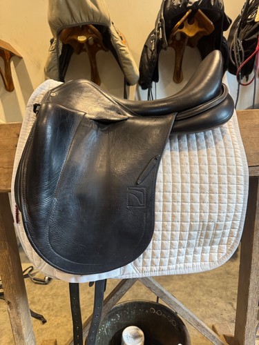 Childeric djo dressage - djo,
