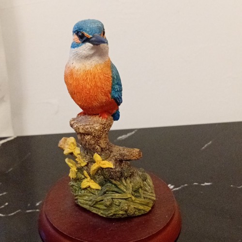 Border fine arts kingfisher - border,